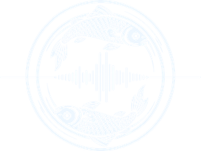 Petrenj Music